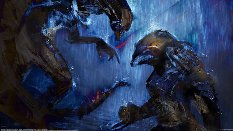 Alien vs Predator wallpaper or background
