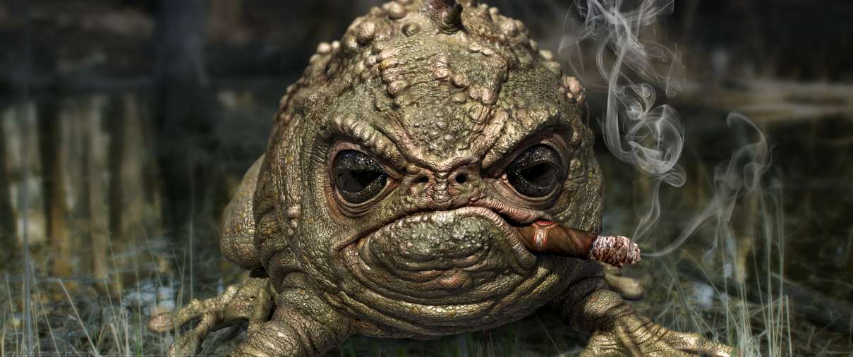 Grumpy frog ultrawide wallpaper