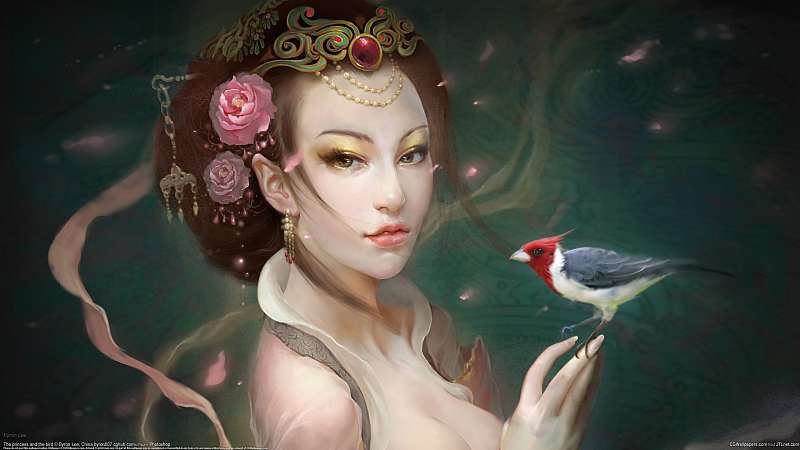 The princess and the bird wallpaper or background