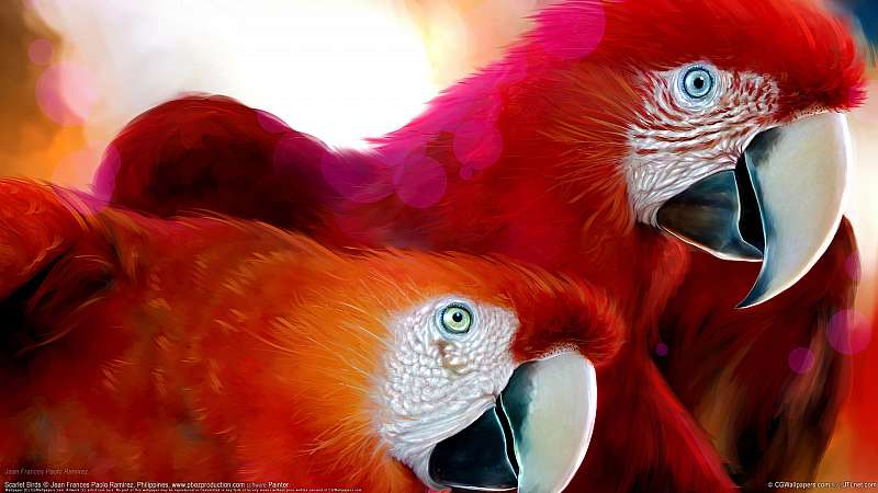 Scarlet Birds wallpaper or background