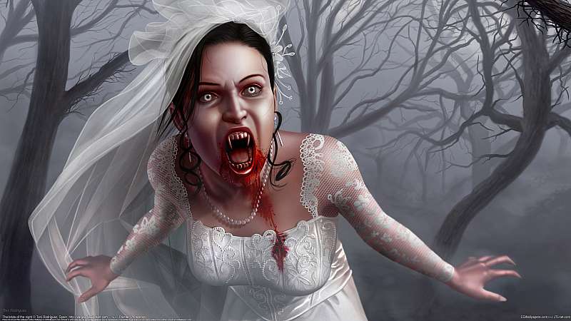 The bride of the night wallpaper or background