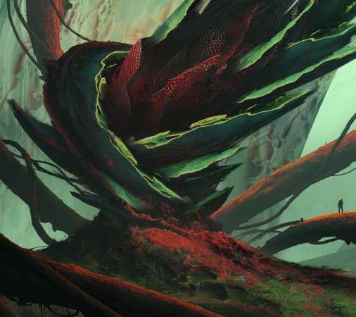 Tim Blandin Mobile Horizontal wallpaper