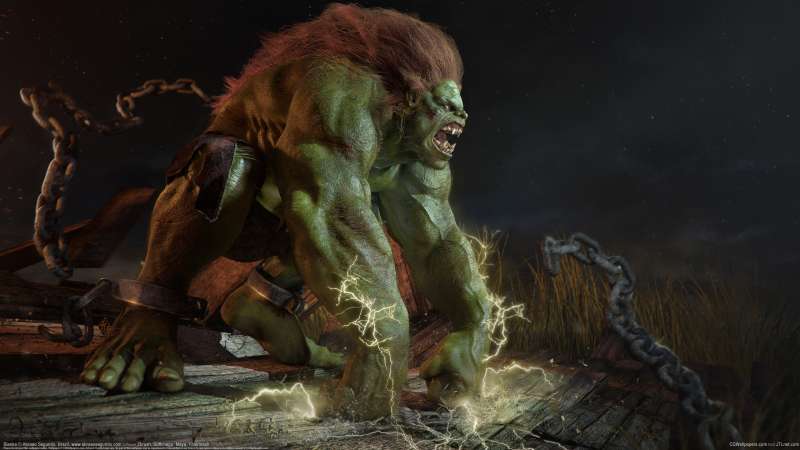 Blanka wallpaper or background