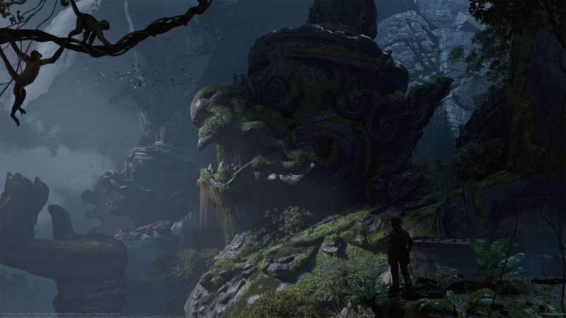 Explore wallpaper or background
