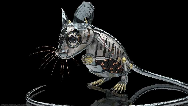 Robotic Mouse wallpaper or background