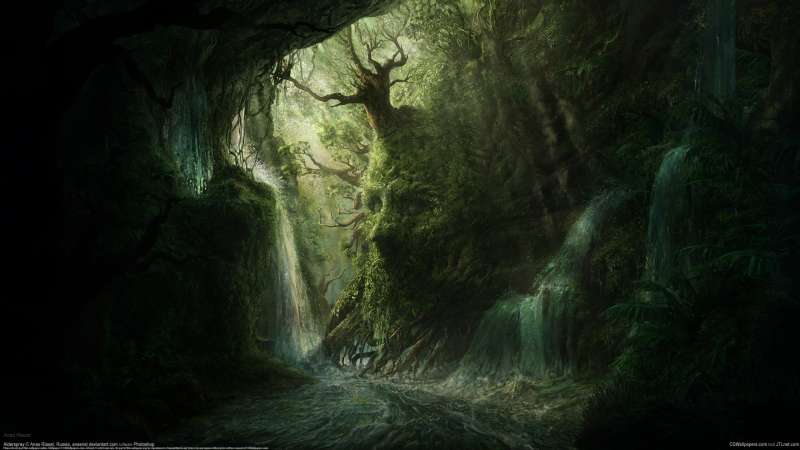Alderspray wallpaper or background
