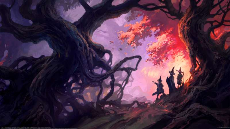 The 3 Witches II wallpaper or background