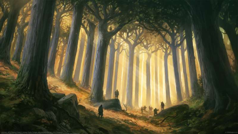 Lothl�rien - MTG Playmat (Forest) wallpaper or background