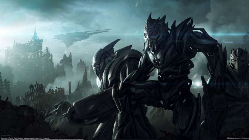 Searching wallpaper or background