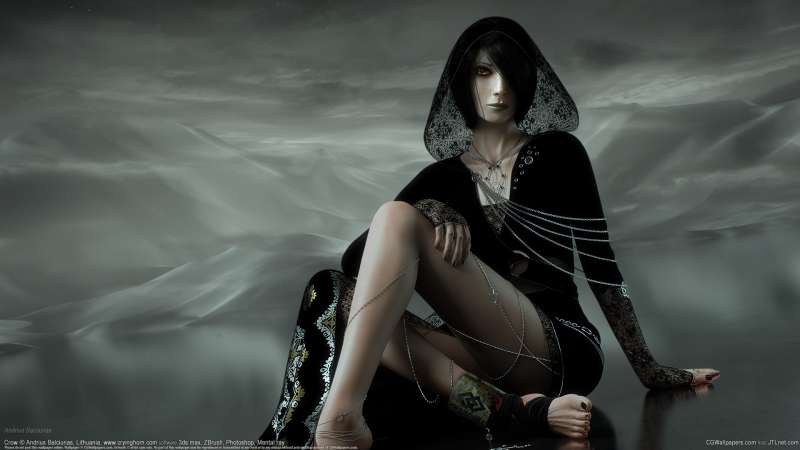 Crow wallpaper or background