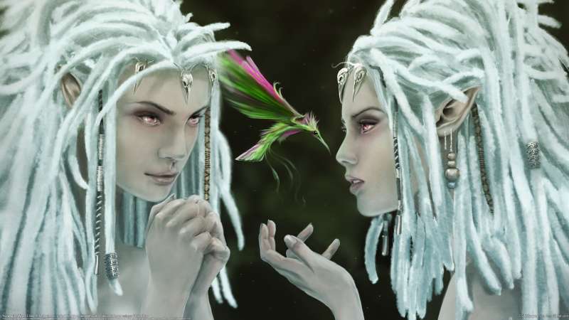 Norwegian Wood Elves wallpaper or background