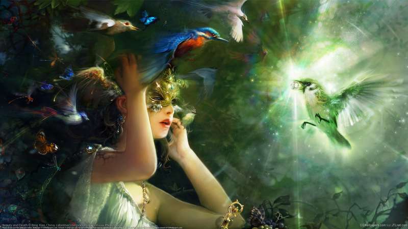 Beauty and Death wallpaper or background