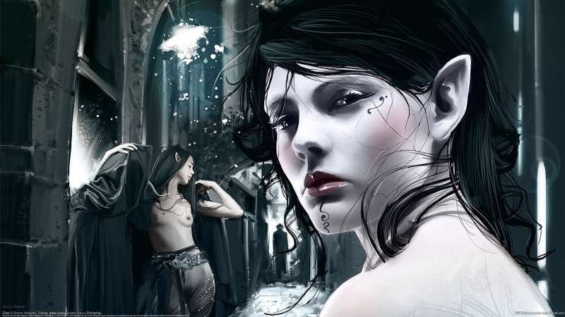 Elfes wallpaper or background