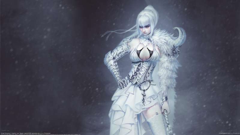 Snow Sorceres wallpaper or background