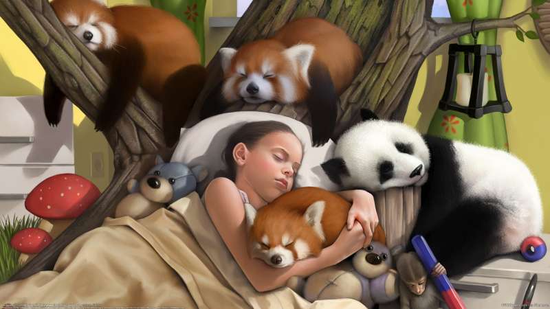Puppies wallpaper or background