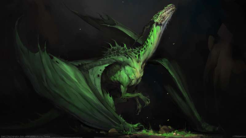 Dragon wallpaper or background