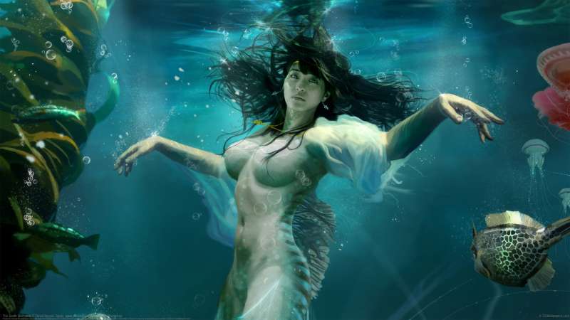 The South Mermaids wallpaper or background