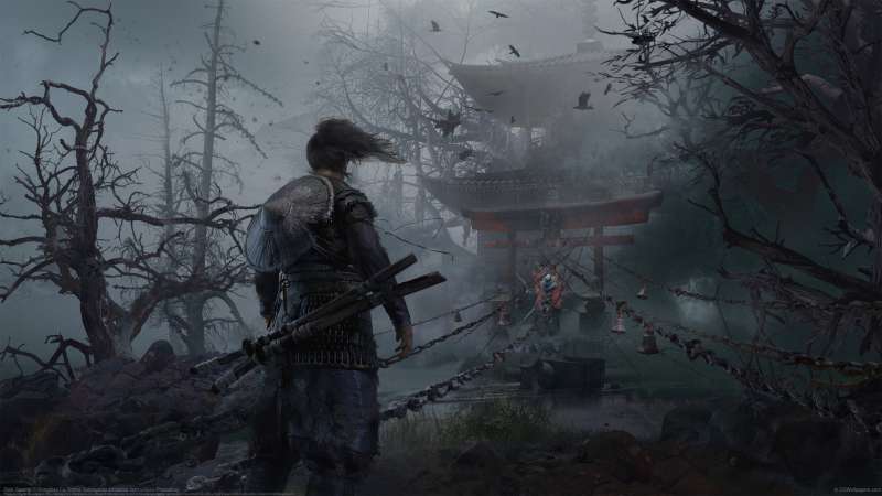 Dark Swamp wallpaper or background