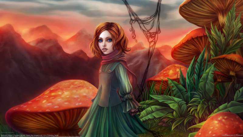 Mushroom Hideout wallpaper or background