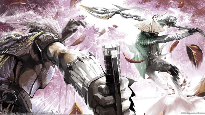 Final Duel wallpaper or background