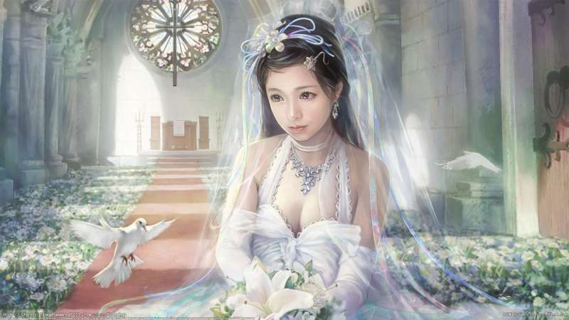Bride wallpaper or background