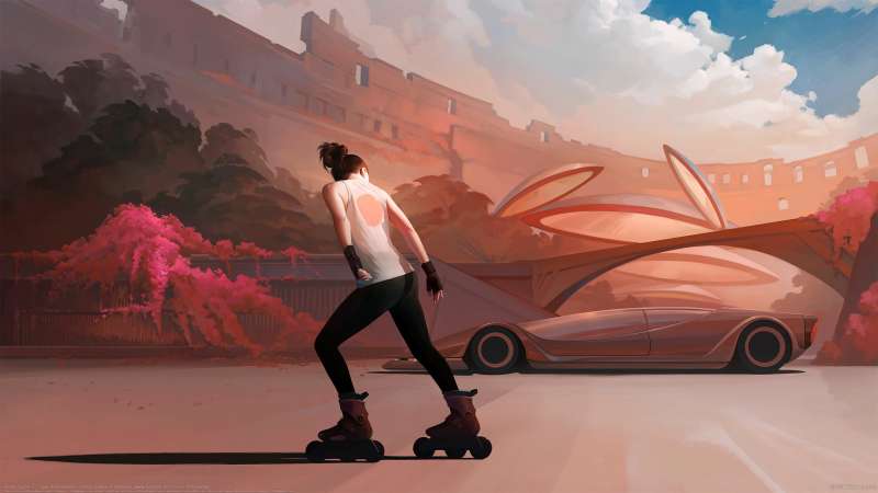 Skate Supra 2 wallpaper or background