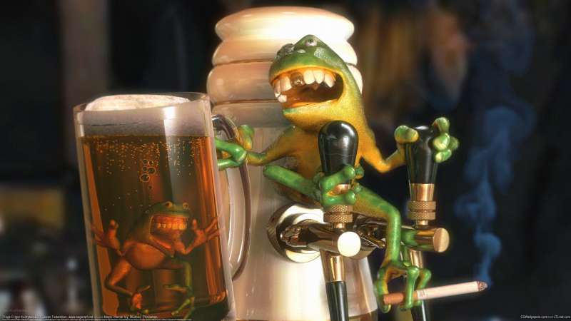 Frogs wallpaper or background