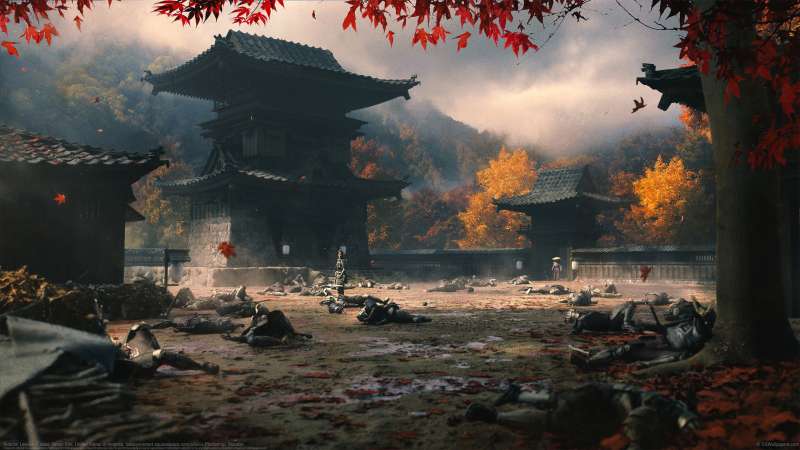 Autumn Leaves wallpaper or background