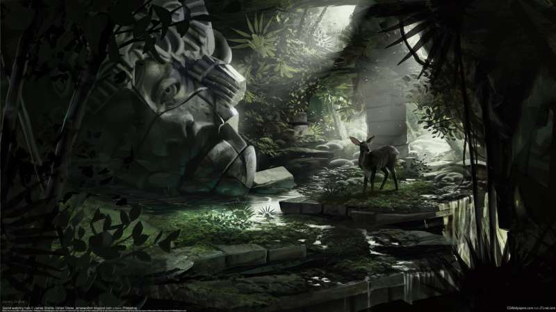 Secret watering hole wallpaper or background