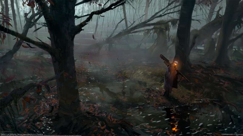 Swamp wallpaper or background