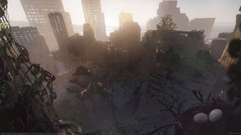 Kingdom planet of the apes concept exploration wallpaper or background