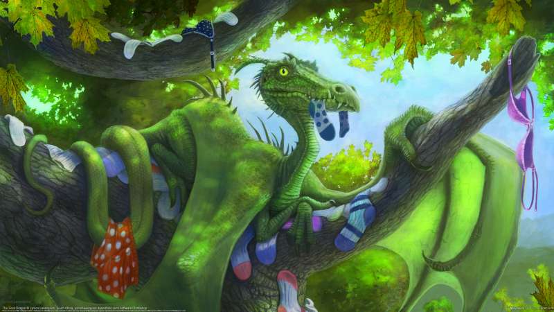 The Sock Dragon wallpaper or background