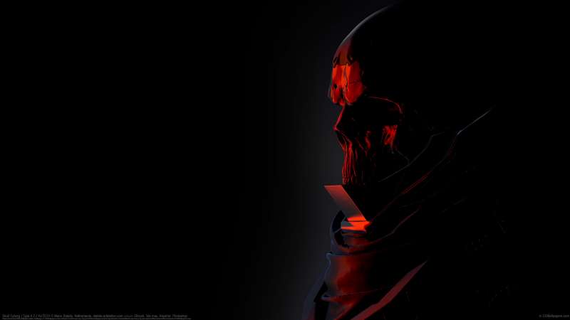 Skull Cyborg | Type 4.2 // AxTECH wallpaper or background