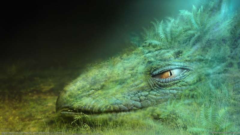 Dragon wallpaper or background