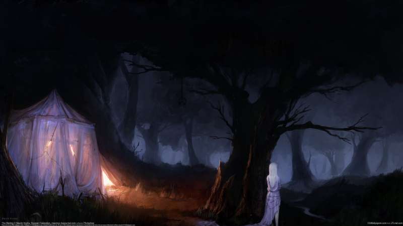 The Waiting wallpaper or background
