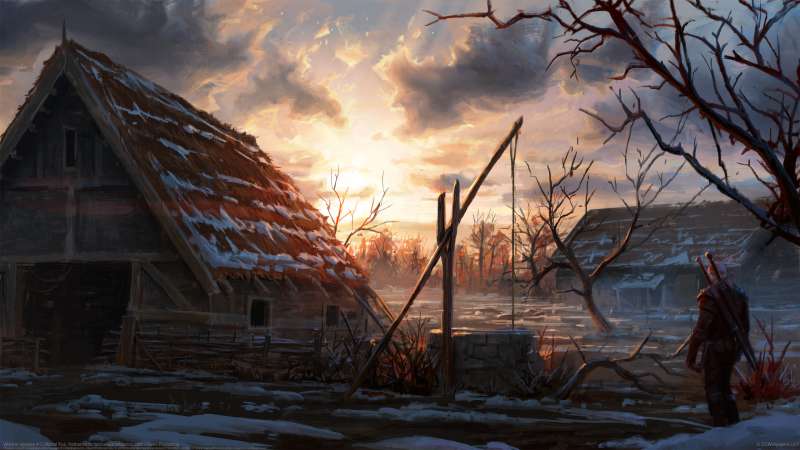 Witcher speedie 4 wallpaper or background