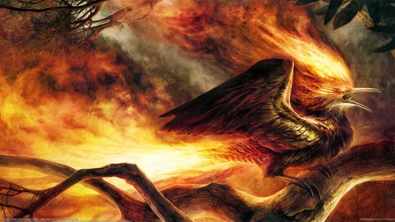 Phoenix wallpaper or background