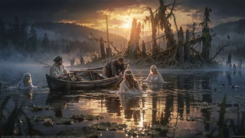 Catch of the day wallpaper or background