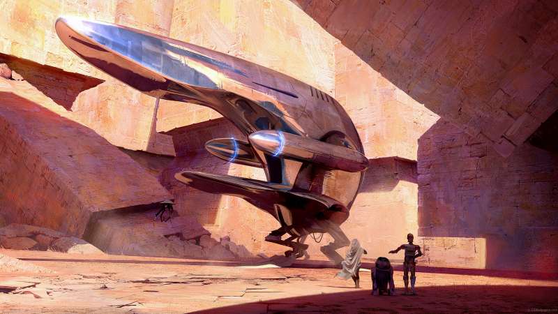 SW: Hiding wallpaper or background