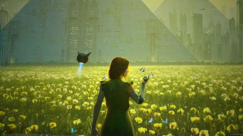 Canvas of life - Yellow wallpaper or background