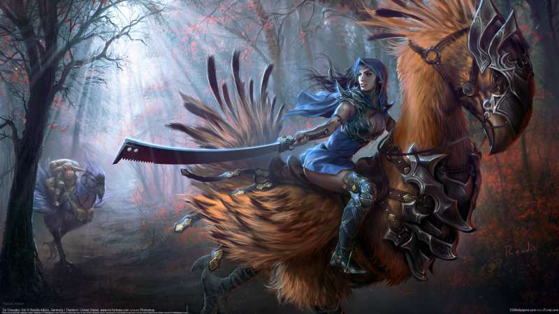 Go Chocobo, Go! wallpaper or background