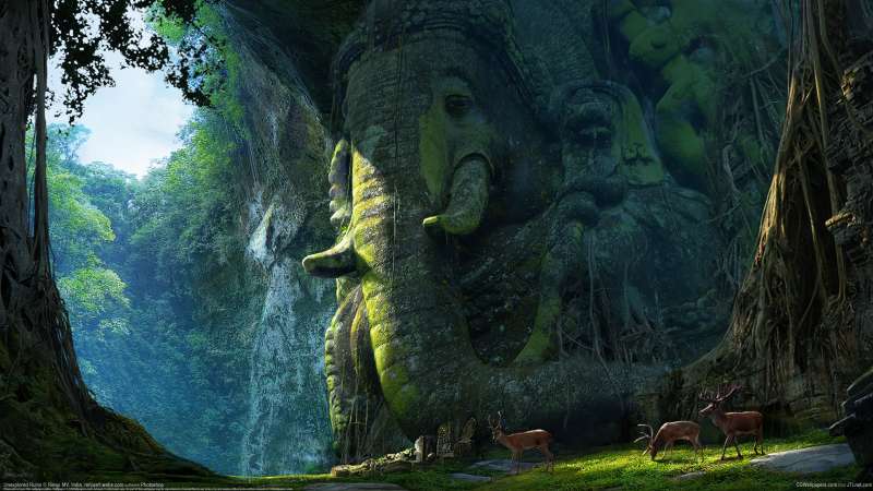 Unexplored Ruins wallpaper or background