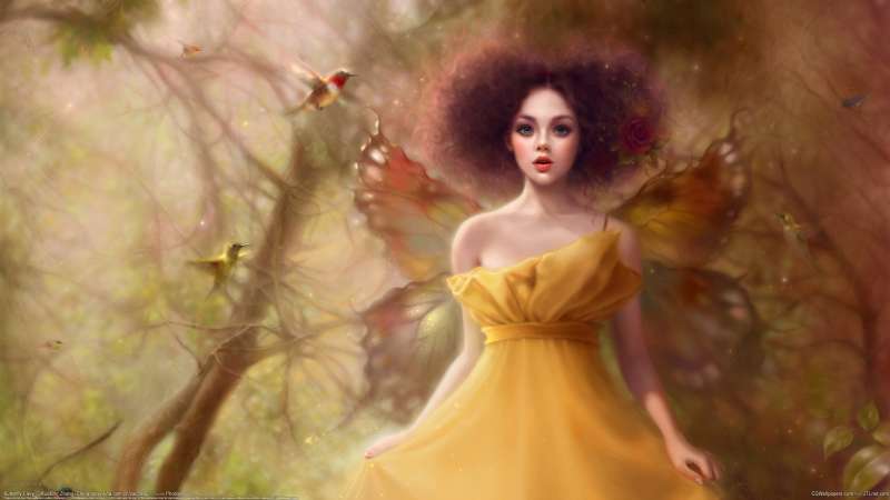 Butterfly Fairy wallpaper or background