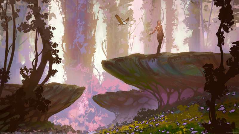 Amazon Forest wallpaper or background