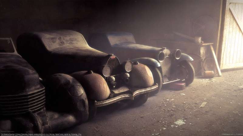 The Sleeping Beauties wallpaper or background