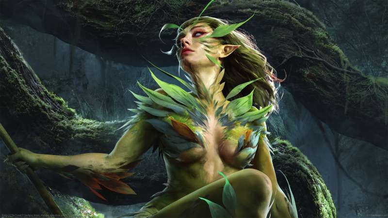 Sirens Of The Forest wallpaper or background
