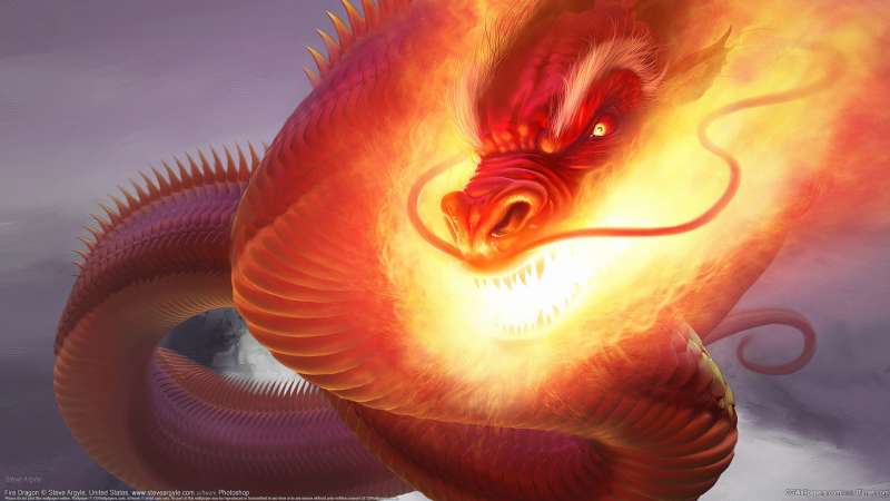 Fire Dragon wallpaper or background