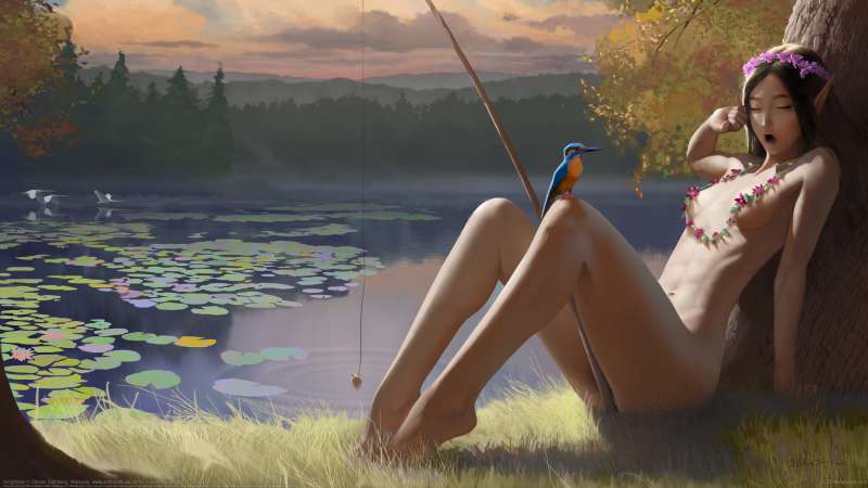 Kingfisher wallpaper or background