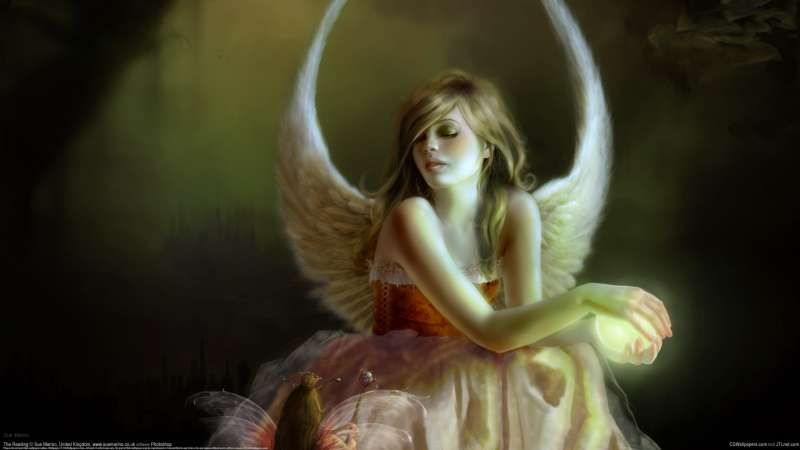 The Reading wallpaper or background