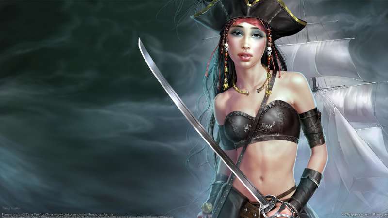 Female pirates wallpaper or background